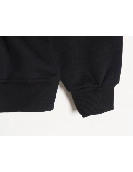 Loewe Large Letter Print Hooded Sweatshirt TSK1,Loewe Hoodie,Hoodie,APPAREL