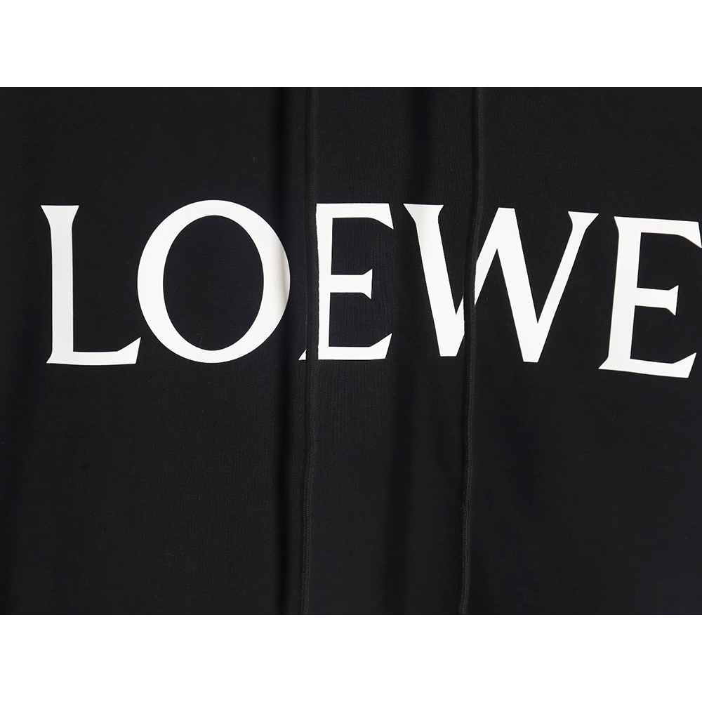 Loewe Large Letter Print Hooded Sweatshirt TSK1,Loewe Hoodie,Hoodie,APPAREL