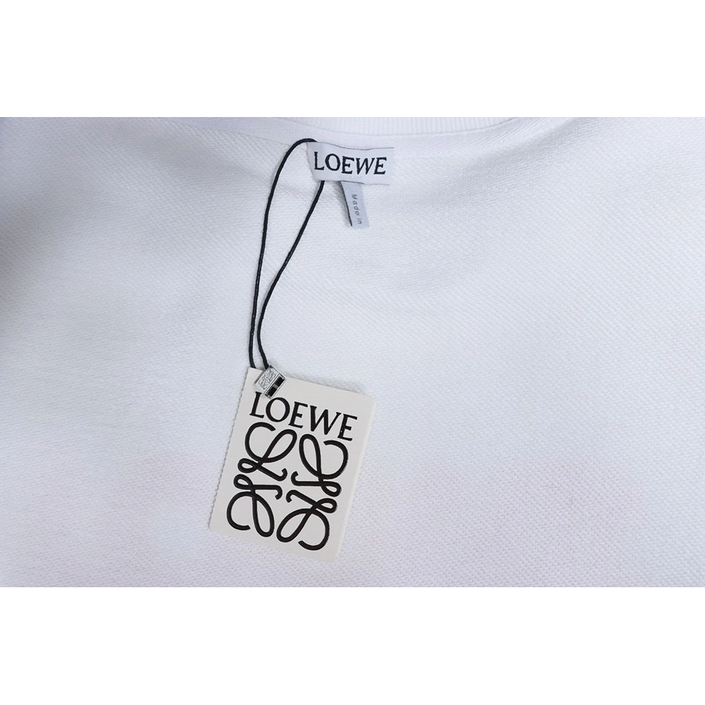 Loewe neon embroidery fluorescent pink crew neck sweatshirt TSK1,Loewe Sweatshirt,Sweatshirt,APPAREL