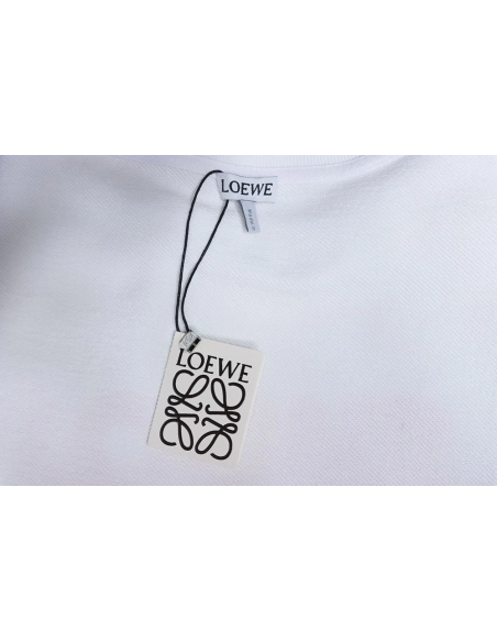 Loewe neon embroidery fluorescent pink crew neck sweatshirt TSK1,Loewe Sweatshirt,Sweatshirt,APPAREL