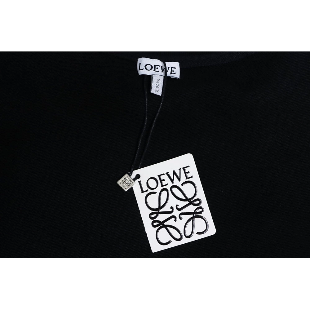 Loewe neon embroidery fluorescent pink crew neck sweatshirt,Loewe Sweatshirt,Sweatshirt,APPAREL