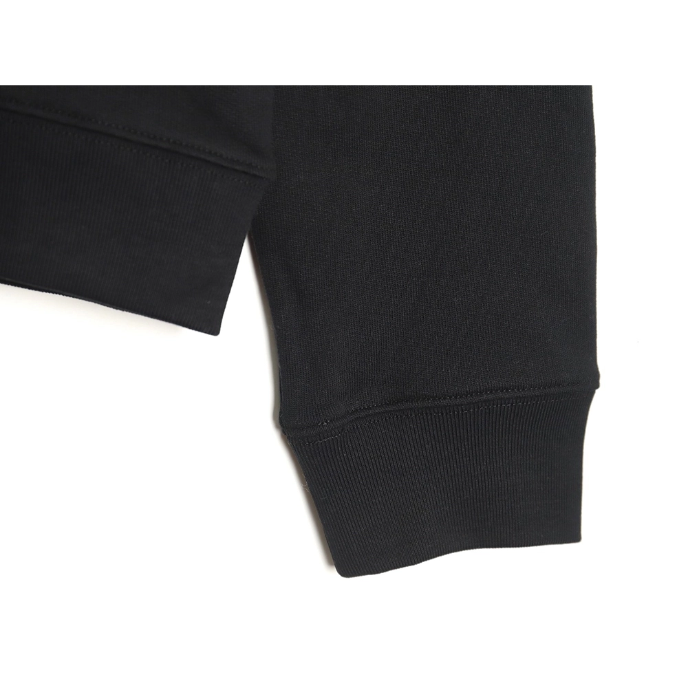 Loewe Anagram embroidered longsleeved crewneck sweatshirt,Loewe Sweatshirt,Sweatshirt,APPAREL