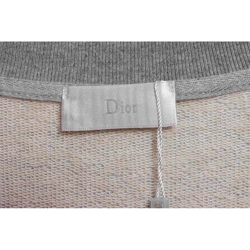 Dior handmade splashink sweatshirt,Dior Sweatshirt,Sweatshirt,APPAREL
