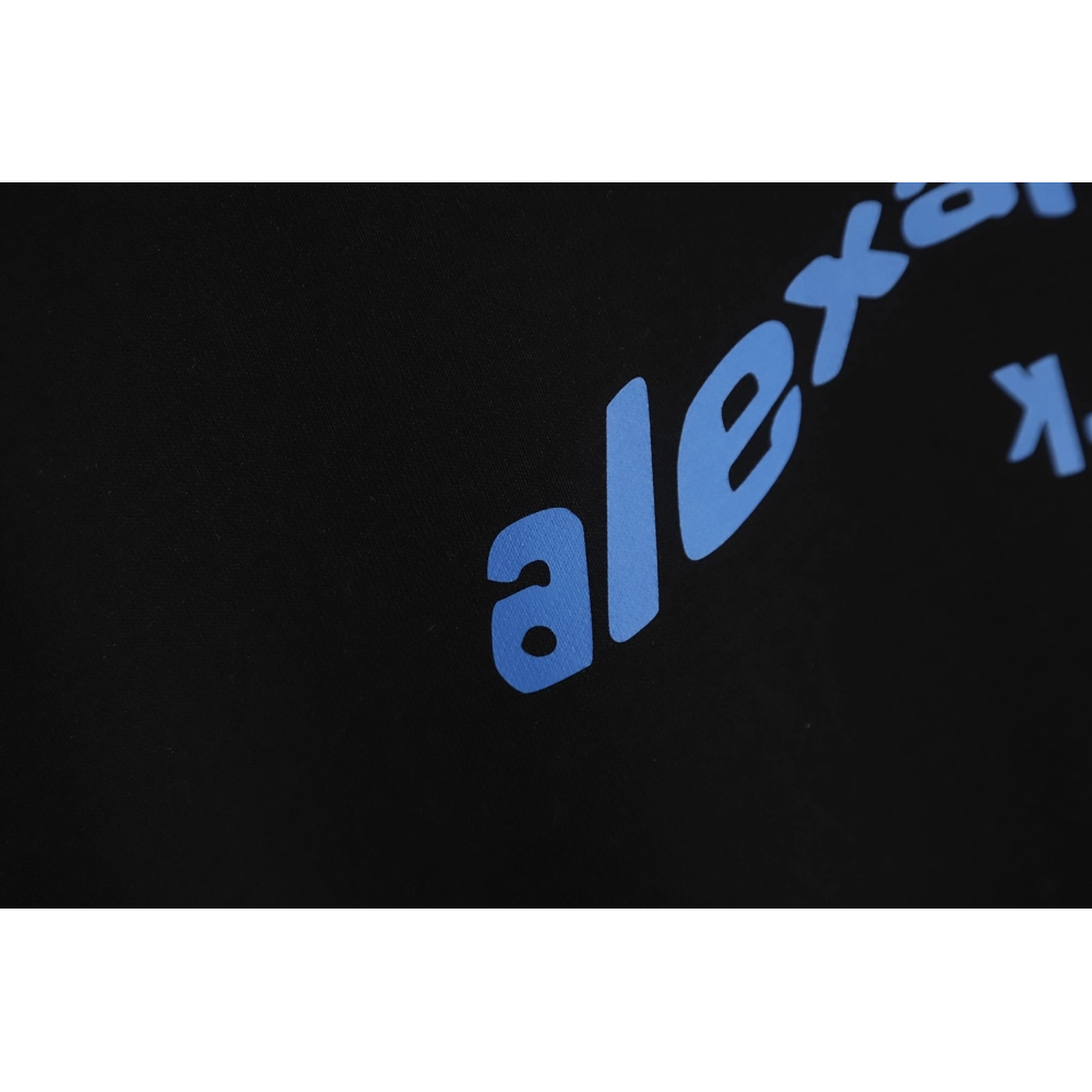 Alexander Wang 22FW Twisted Letters Crewneck Sweatshirt TSK1,Alexander Wang Sweatshirt,Sweatshirt,APPAREL