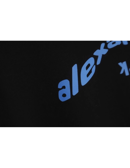 Alexander Wang 22FW Twisted Letters Crewneck Sweatshirt TSK1,Alexander Wang Sweatshirt,Sweatshirt,APPAREL