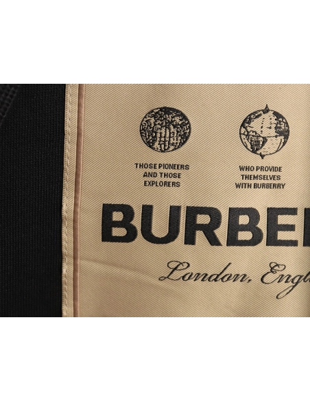 Burberry chest label hooded sweatshirt TSK1,Cheap Replica Reps Burberry