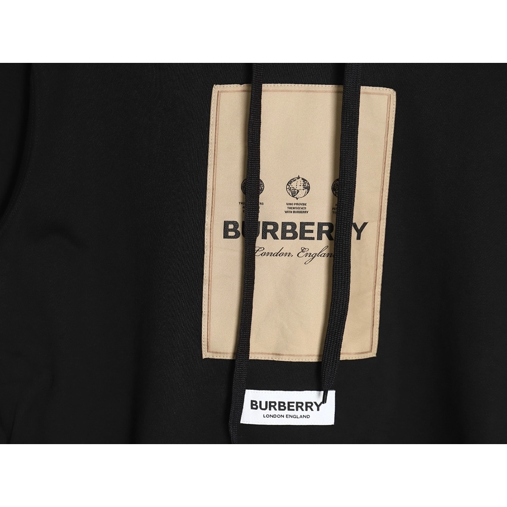 Burberry chest label hooded sweatshirt TSK1,Cheap Replica Reps Burberry