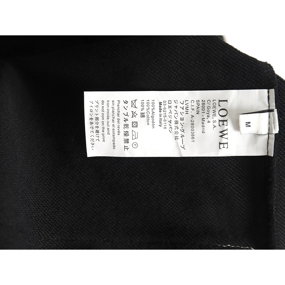 Loewe Web Embroidery Sweatshirt,Cheap Replica Reps Loewe