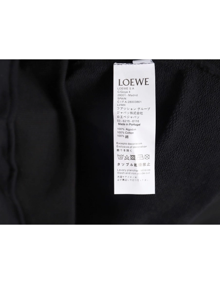 Loewe Large Letter Print Hooded Sweatshirt TSK1,Cheap Replica Reps Loewe