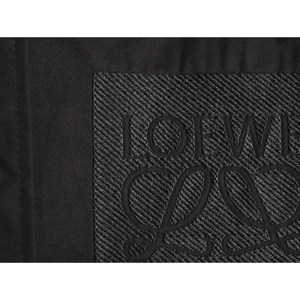 Loewe tricolor embroidered longsleeved shirt TSK2,Cheap Replica Reps Loewe