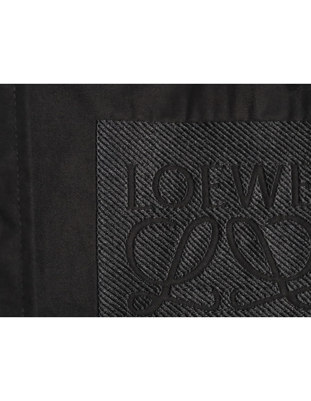 Loewe tricolor embroidered longsleeved shirt TSK2,Cheap Replica Reps Loewe