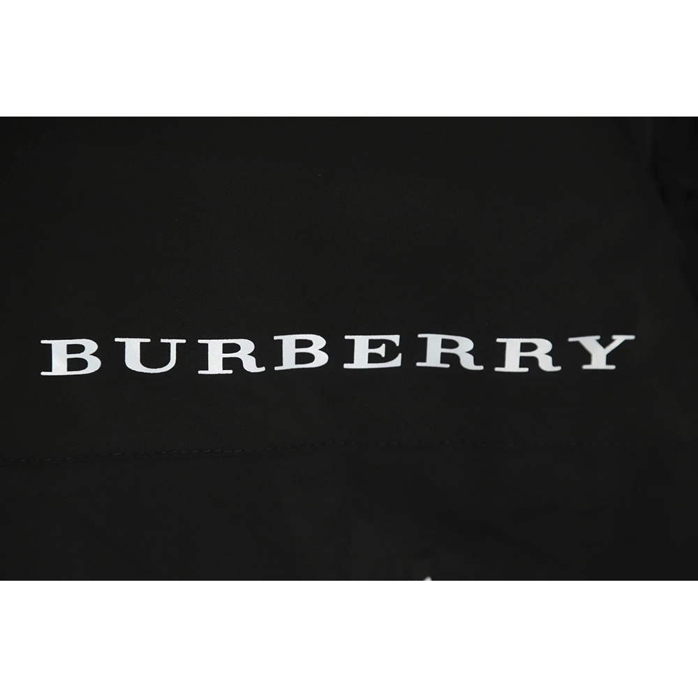 Burberry silicone arm badge down jacket TSK1,Burberry