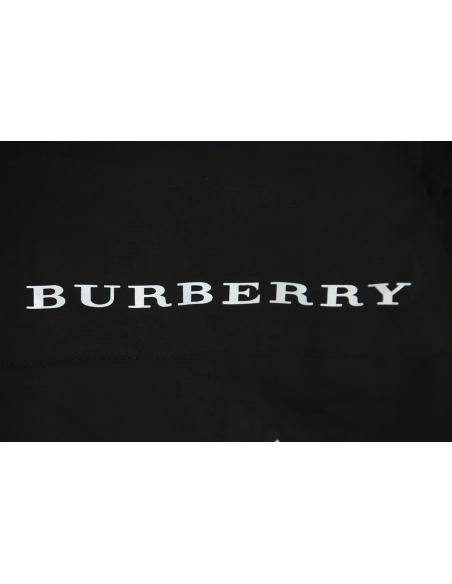 Burberry silicone arm badge down jacket TSK1,Burberry