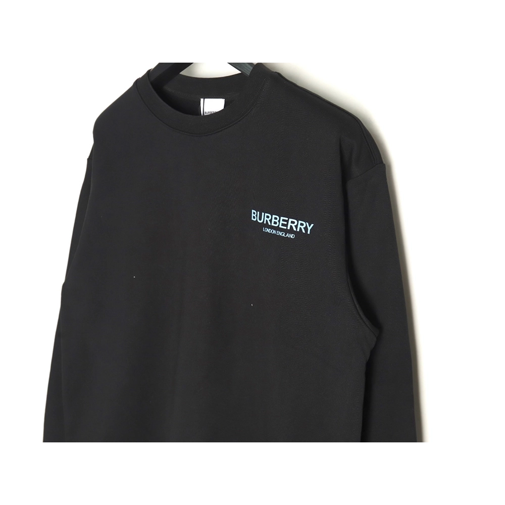 Burberry in low price trust seller,in low price trust seller,Clothing,Buy Cheap Discount Burberry back blue bear print crew neck