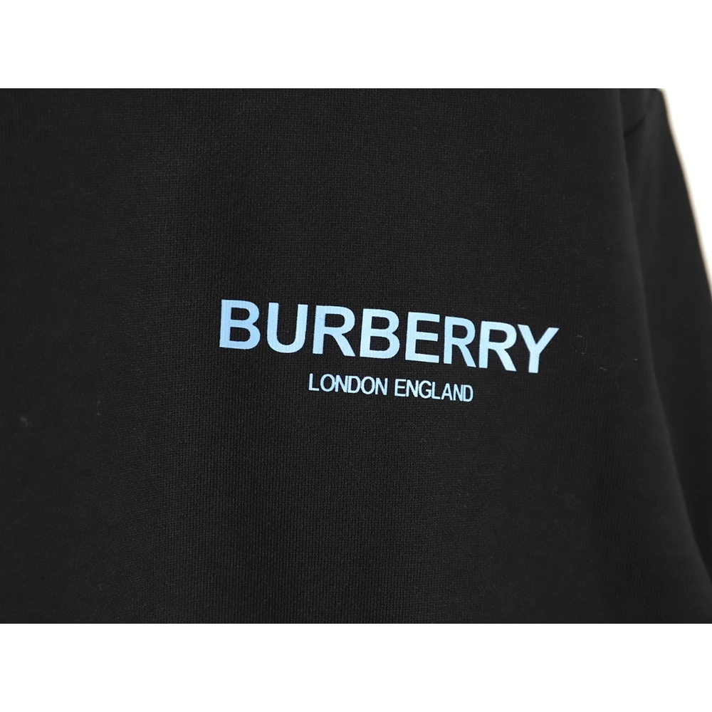 Burberry in low price trust seller,in low price trust seller,Clothing,Buy Cheap Discount Burberry back blue bear print crew neck
