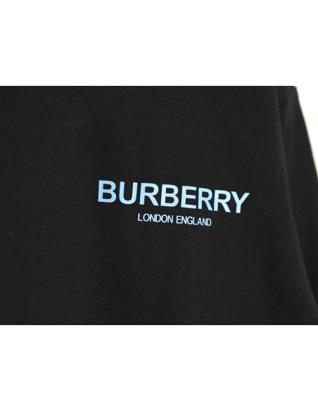 Burberry in low price trust seller,in low price trust seller,Clothing,Buy Cheap Discount Burberry back blue bear print crew neck