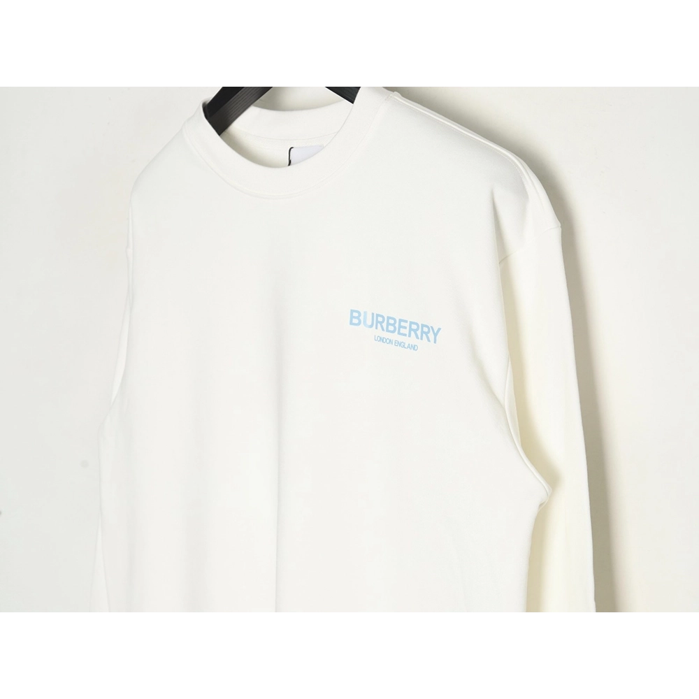 Burberry in low price trust seller,in low price trust seller,Clothing,Buy Cheap Discount Burberry back blue bear print crew neck