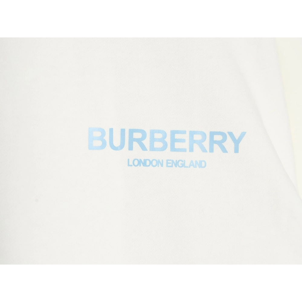 Burberry in low price trust seller,in low price trust seller,Clothing,Buy Cheap Discount Burberry back blue bear print crew neck