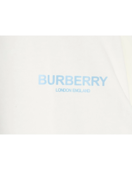 Burberry in low price trust seller,in low price trust seller,Clothing,Buy Cheap Discount Burberry back blue bear print crew neck