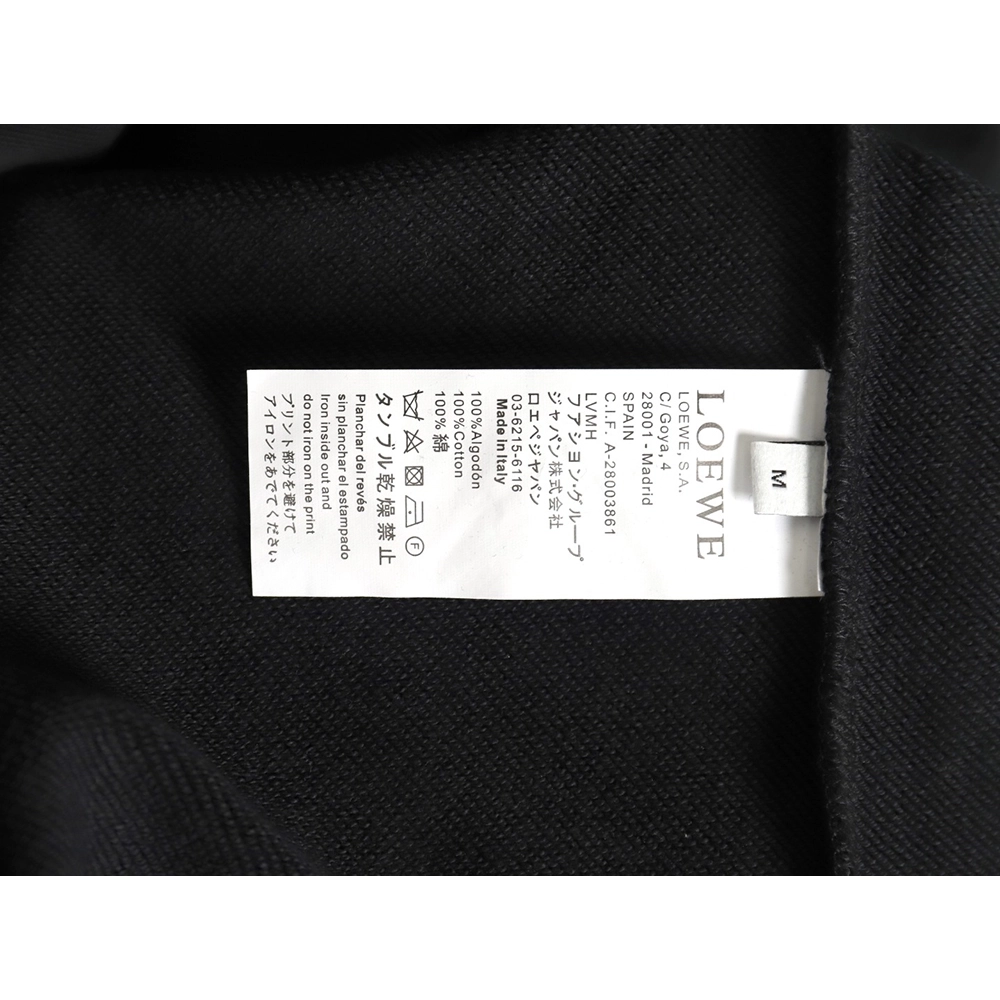 Loewe Hoodie,Hoodie,Clothing,Buy Cheap Discount Loewe Colorblock 3D Embroidered Hoodie