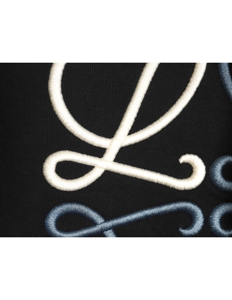 Loewe Hoodie,Hoodie,Clothing,Buy Cheap Discount Loewe Colorblock 3D Embroidered Hoodie