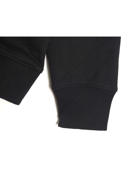 Loewe Badge Embroidered Crew Neck Sweatshirt,Loewe Sweatshirt,Sweatshirt,APPAREL Clothing