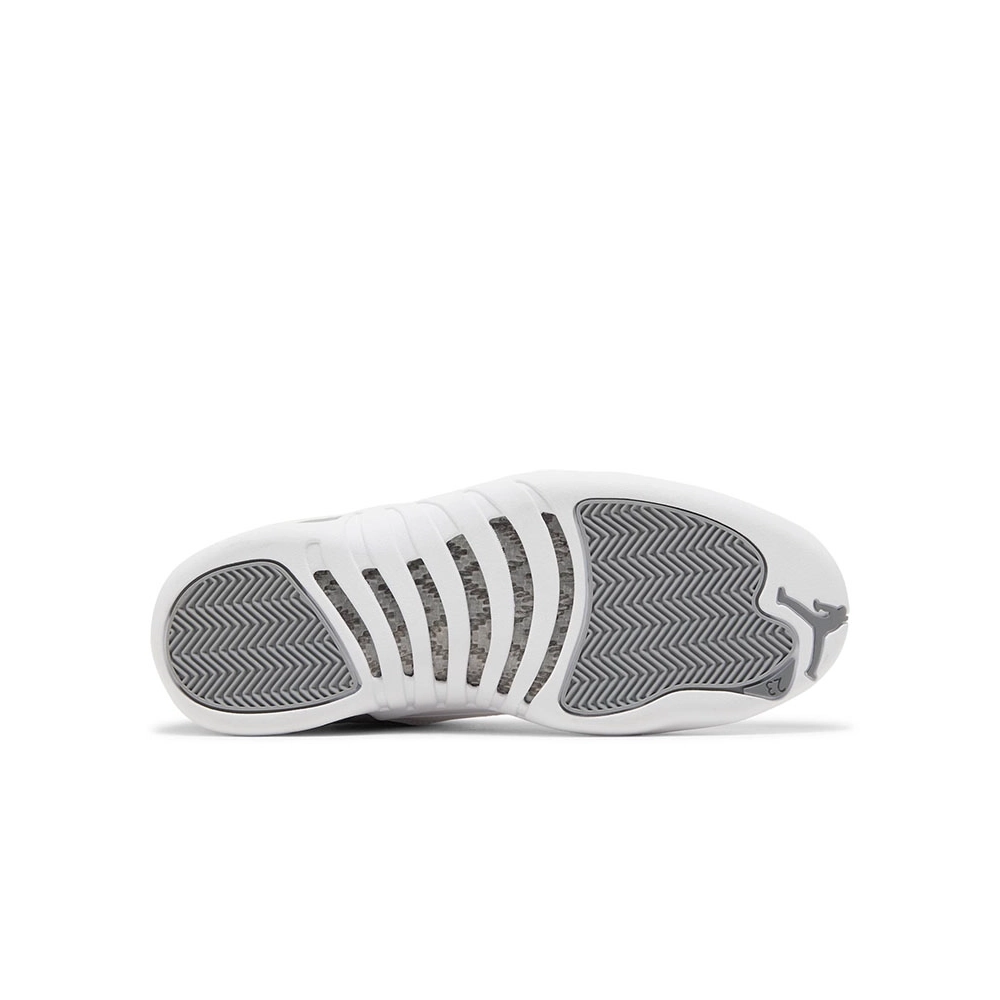 AIR JORDAN 12 RETRO STEALTH CT8013 015,AIR JORDAN 12,Air Jordan