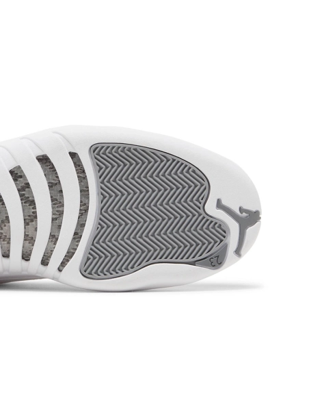 AIR JORDAN 12 RETRO STEALTH CT8013 015,AIR JORDAN 12,Air Jordan