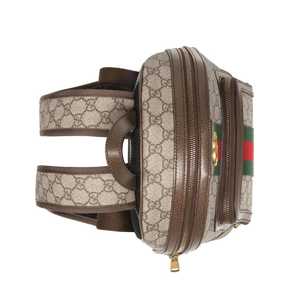 Gucci Bags 547965 22X29X15cm,Gucci,GUC-547965241224