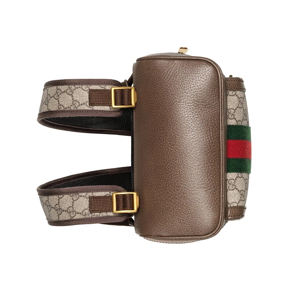 Gucci Bags 547965 22X29X15cm,Gucci,GUC-547965241224