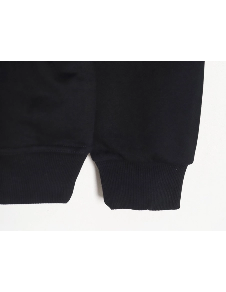 Burberry embroidered teddy bear hooded sweatshirt TSK1,Burberry