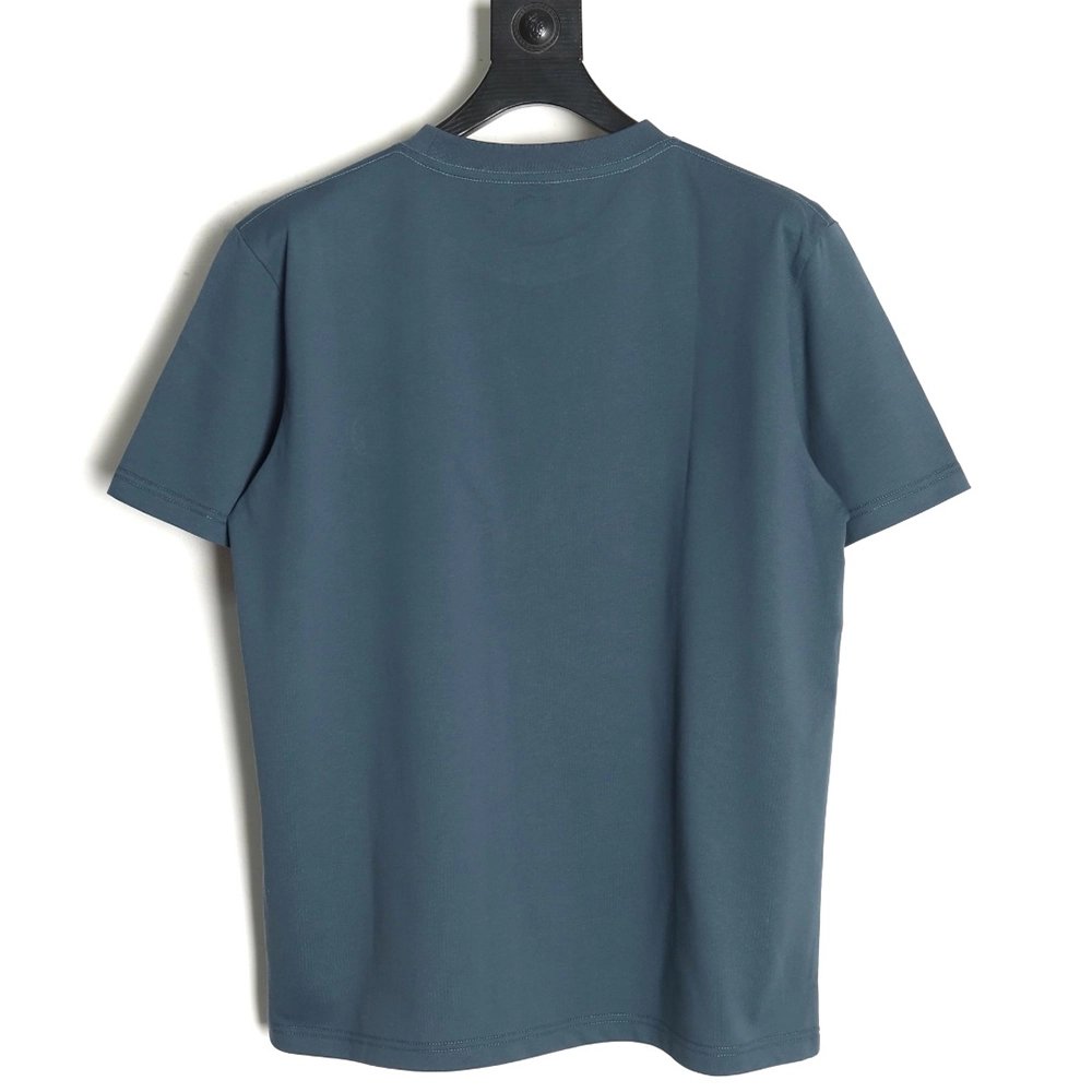 Dior four-color embroidered chapter letter T-shirt TSK2,Dior