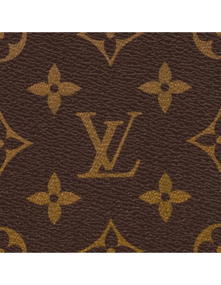 Louis Vuitton Wallets M62472 12X9.4X1.5cm