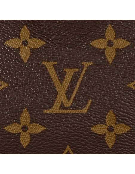 Louis Vuitton Nano Speedy Bags M81085 16X10X7.6cm,Louis Vuitton Bags,BAGS