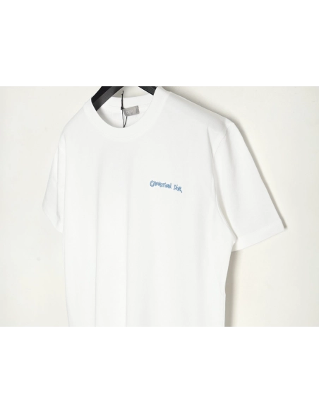 Dior cursive embroidered letters short-sleeved T-shirt,Burberry