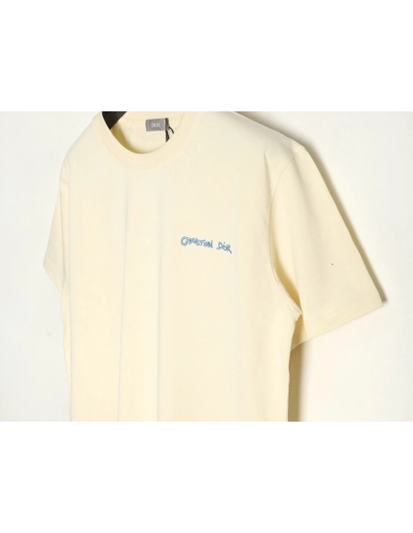 Dior cursive embroidered letters short-sleeved T-shirt TSK1,Burberry