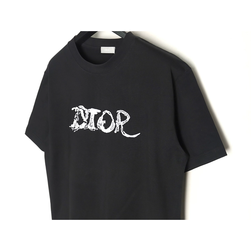 Dior lettering embroidered short sleeve T-shirt,Dior