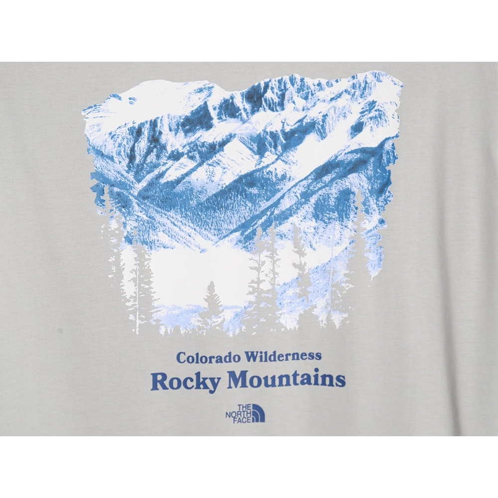 The North face snow mountain forest print short-sleeved T-shirt,The North Face