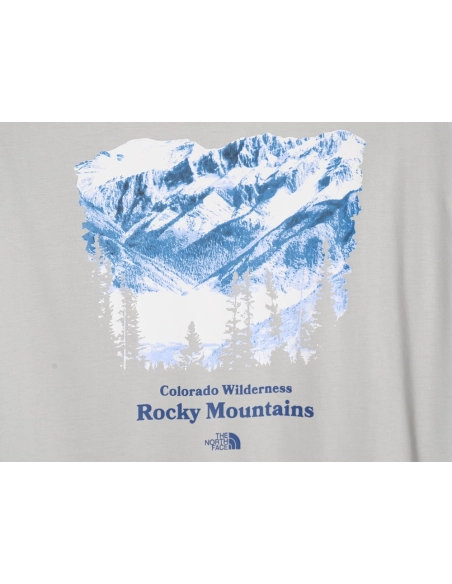 The North face snow mountain forest print short-sleeved T-shirt,The North Face