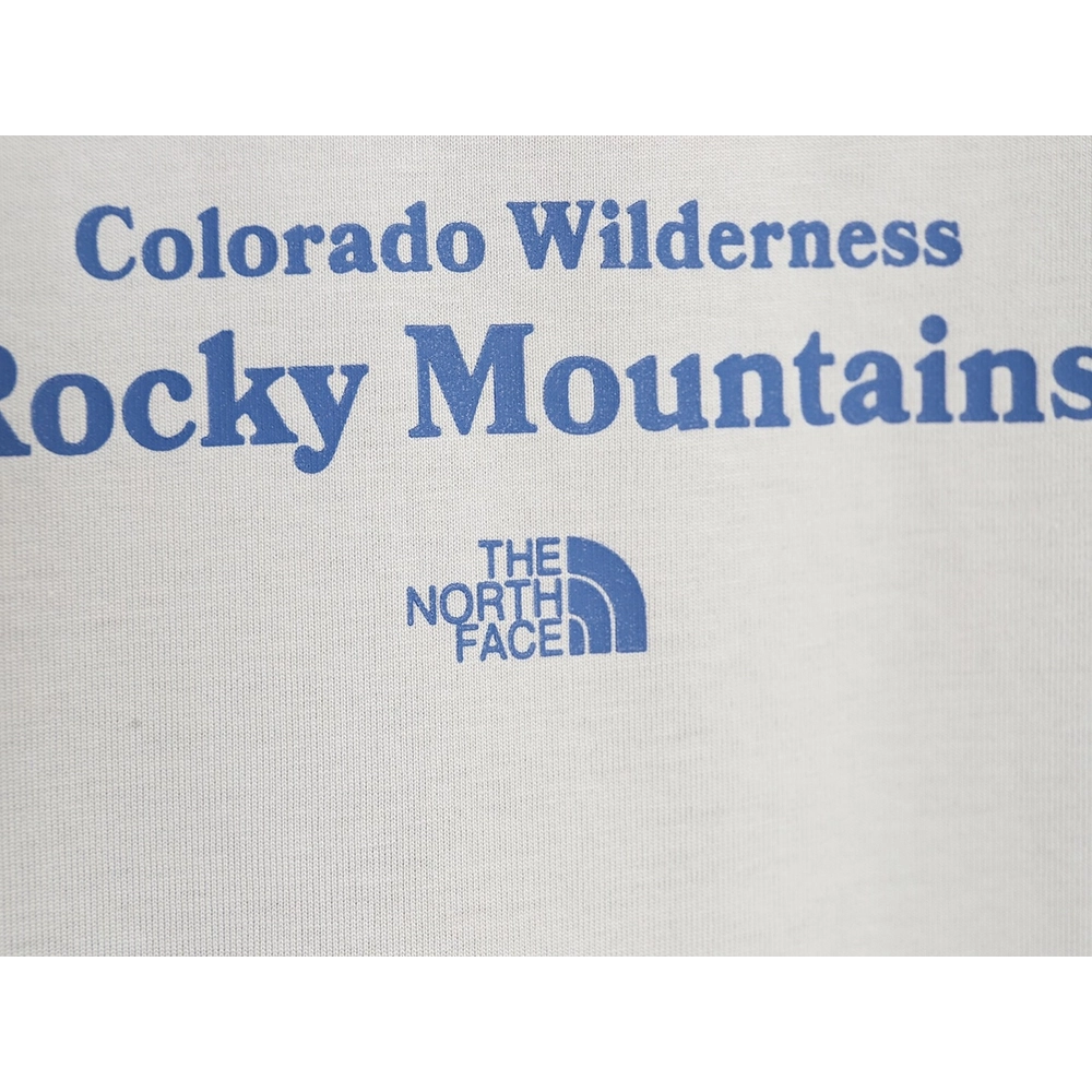 The North face snow mountain forest print short-sleeved T-shirt,The North Face