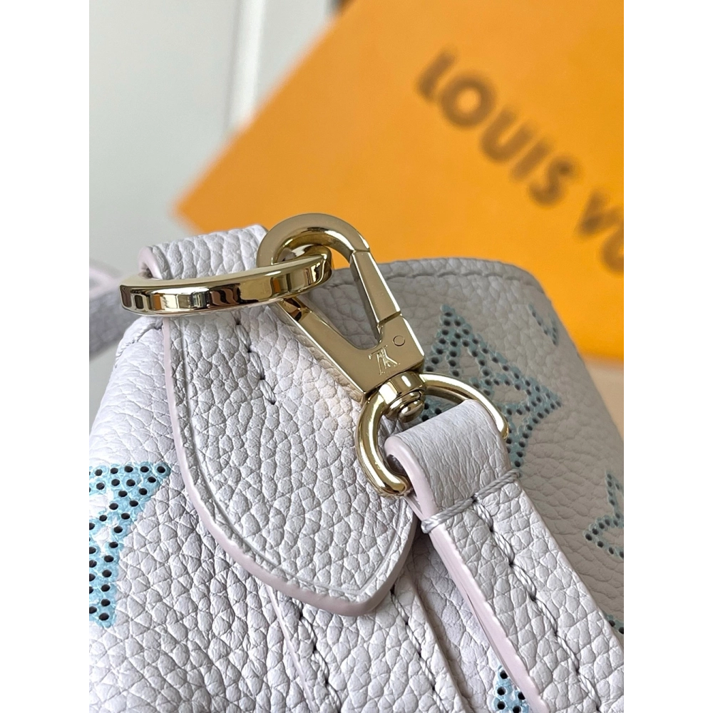 Louis Vuitton Blossom PM Bags M12088 22X14X16cm,Louis Vuitton Bags