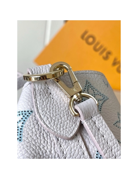 Louis Vuitton Blossom PM Bags M12088 22X14X16cm,Louis Vuitton Bags