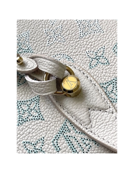 Louis Vuitton Blossom PM Bags M12088 22X14X16cm,Louis Vuitton Bags