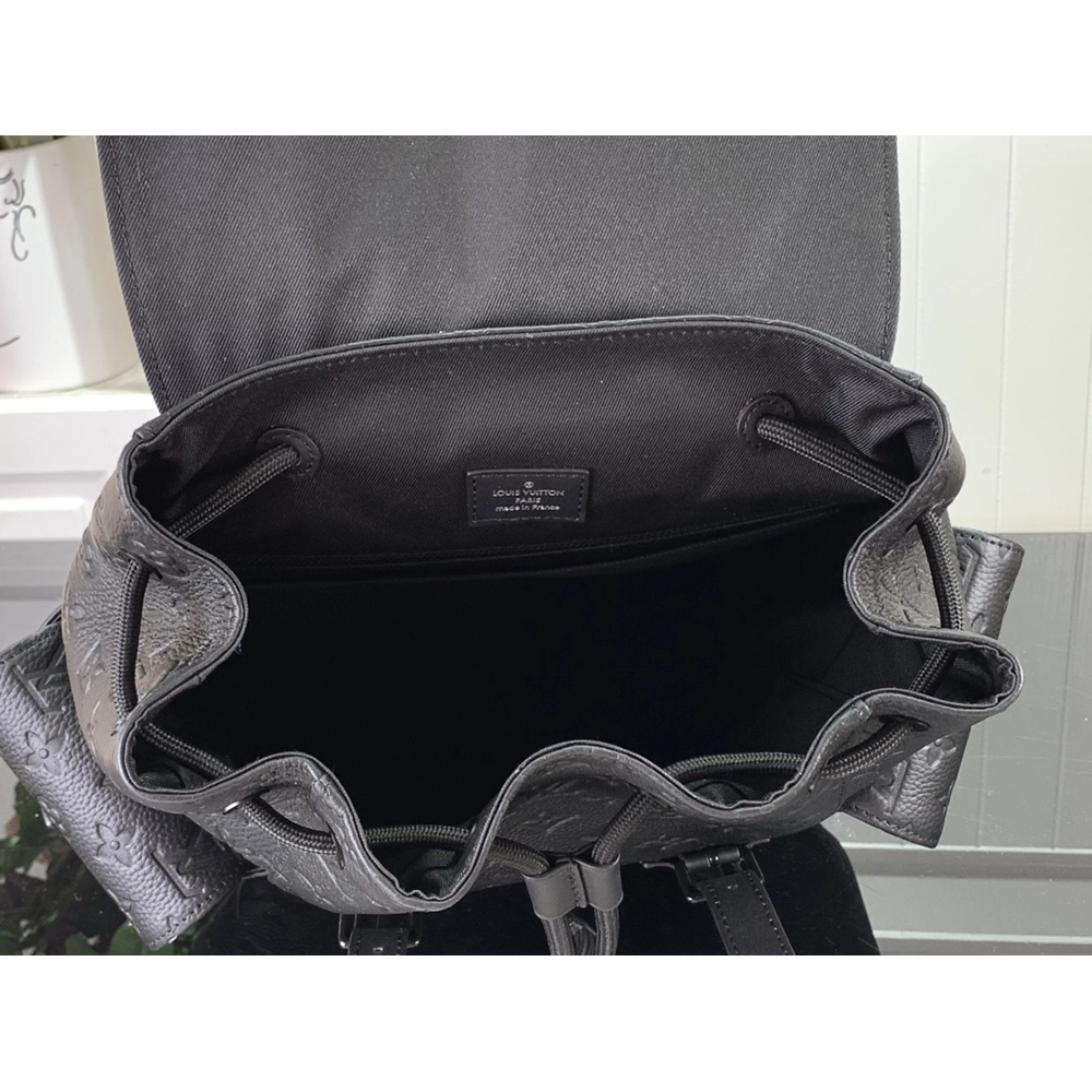 Louis Vuitton Bags M55699