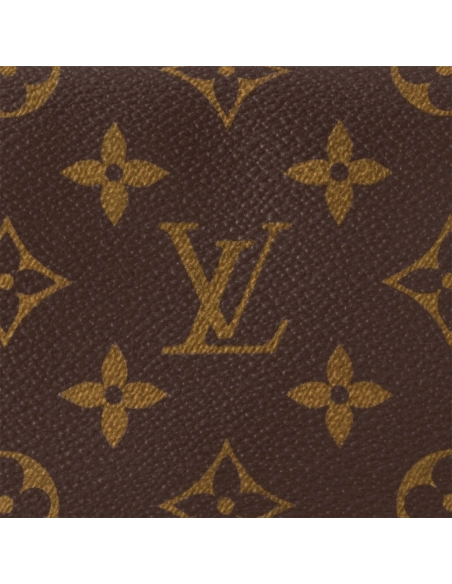 Louis Vuitton Bags M46764 28X15X16.5cm