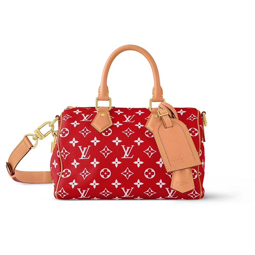 Louis Vuitton Bags M24425 25X15X15cm