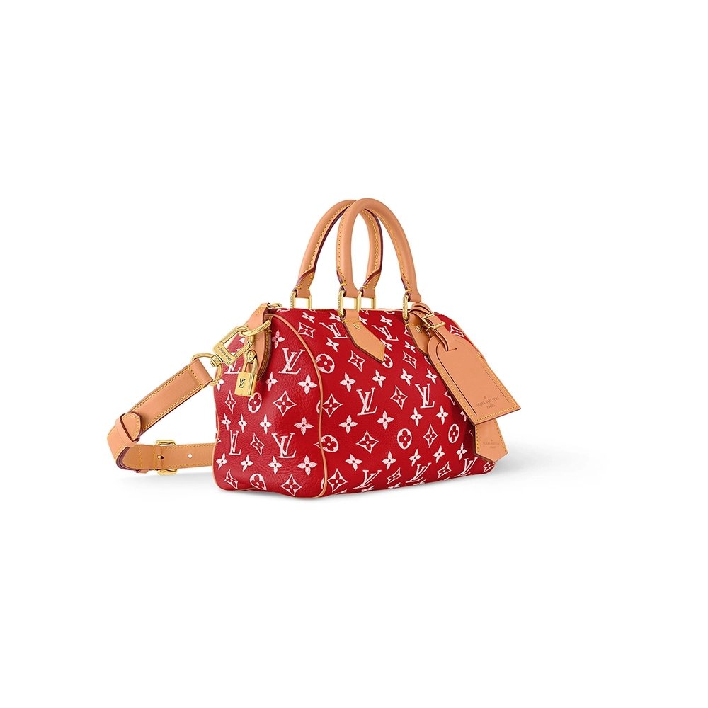 Louis Vuitton Bags M24425 25X15X15cm