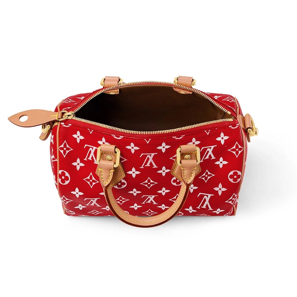 Louis Vuitton Bags M24425 25X15X15cm