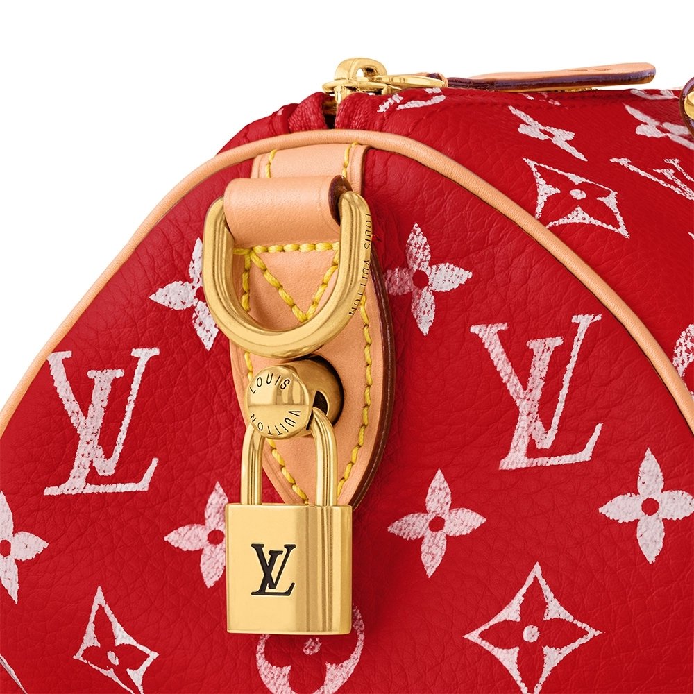 Louis Vuitton Bags M24425 25X15X15cm