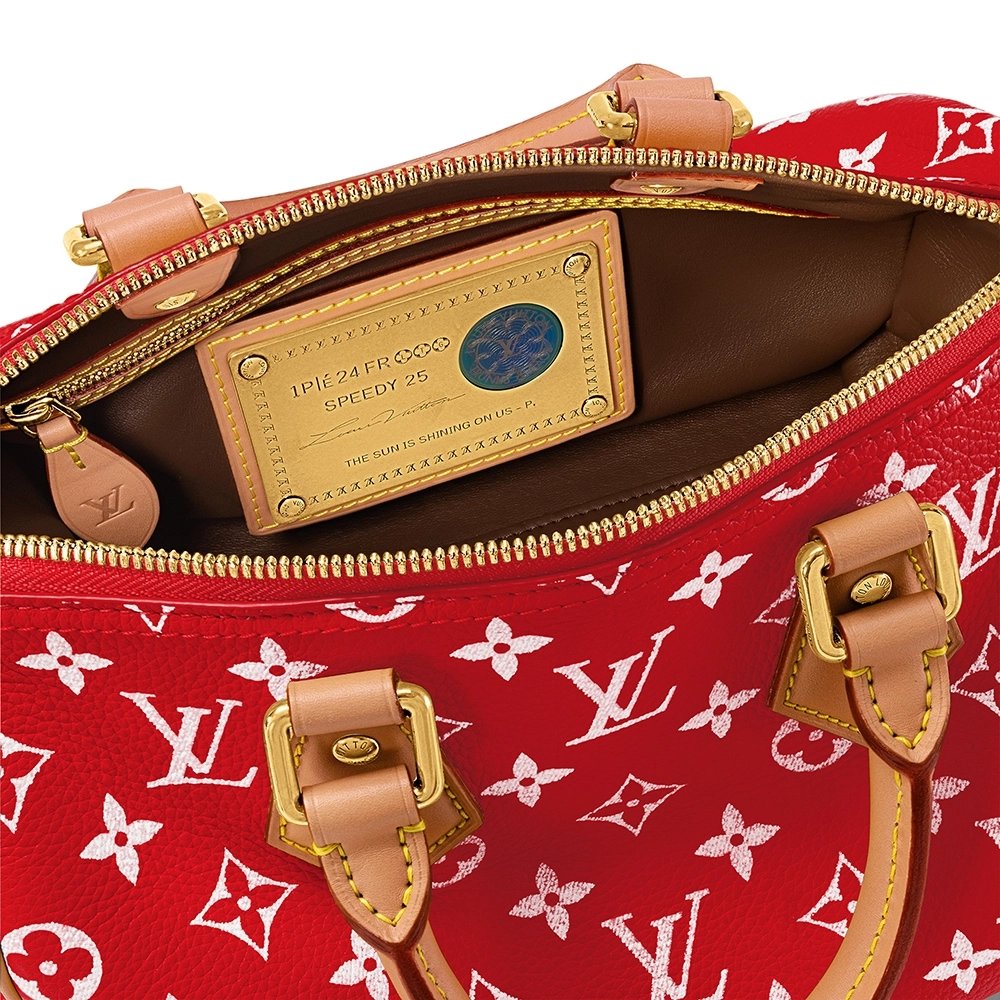 Louis Vuitton Bags M24425 25X15X15cm